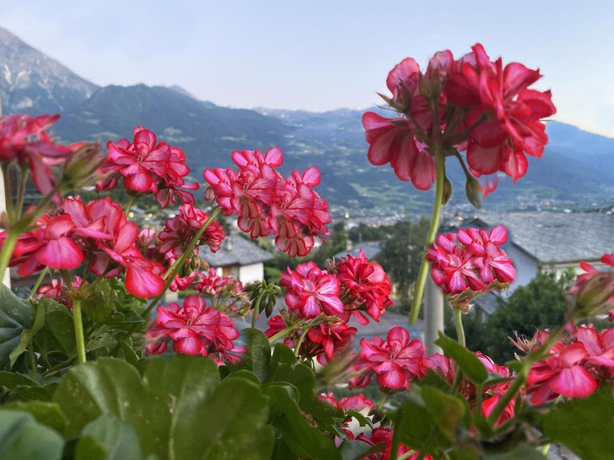 Grenier Du Coeur Lejlighed Aosta Eksteriør billede